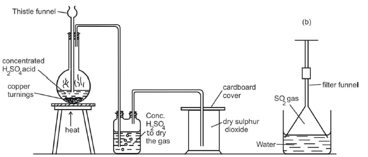 Sulphur and its compounds